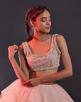 Blush Pink Polyester Mesh & Tulle Lehenga Set