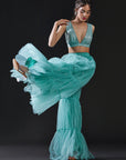 Blue Mesh & Tulle Embellished Sharara Set