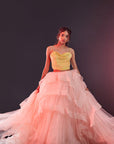 Blush Pink Polyester Mesh & Tulle Lehenga Set