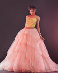 Blush Pink Polyester Mesh & Tulle Lehenga Set