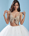 Crystal Polyester Mesh Lehenga Set