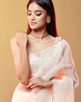 Blush Pink Silk Organza Hand Embroidered Saree