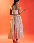 Gold Tulle Sequins Embellished Lehenga Set