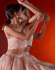 Gold Tulle Sequins Embellished Lehenga Set