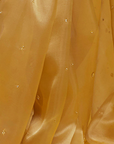 Gold Organza Crystal & Boota Embroidered Saree Set