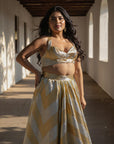 Lume Gota Lehenga Set