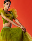 Olive Green Hand Embroidered Crop Top