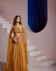 Tan Lehenga set