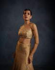 Golden Lehenga set
