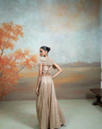 GOLDEN + ZARDOZI MIRROR CUTDANA WORK + RAW SILK + LEHENGA SET + 3 PCS