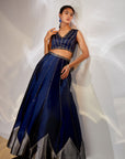 Blue tissue work lehenga