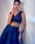Blue tissue work lehenga