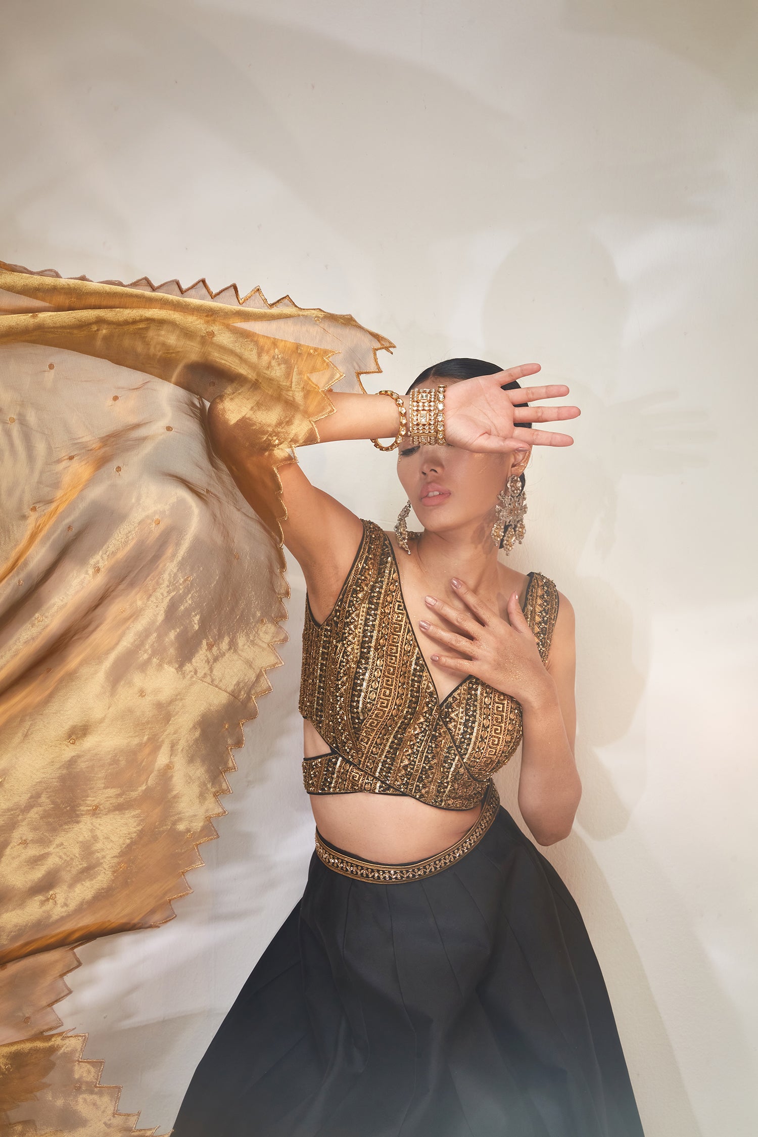 Black & gold tisssue work lehenga