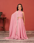 Pink Handcrafted Lehenga Set For Girls
