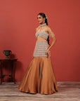 Brown Fusion Lehenga Set