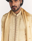 Surmayi Yellow Kurta Set
