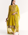 Chitra Lime Green Anarkali
