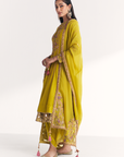 Chitra Lime Green Anarkali