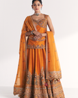 Mor Mustard Lehenga Set