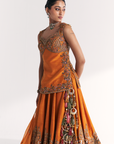 Mor Mustard Lehenga Set