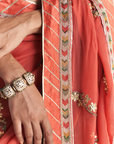Rimjhim Tangerine Saree