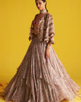 Sanya Multi Color Lehenga Set