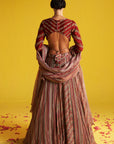 Ahana Multi Color Lehenga Set