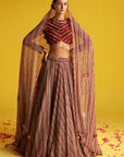 Ahana Multi Color Lehenga Set