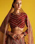 Ahana Multi Color Lehenga Set