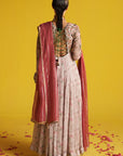 Mahi Multi Color Anarkali Set