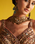 Shagun Multi Color Lehenga Set