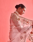 Powdered Pink Hand Embrodiered Saree With Mashru Silk Blouse