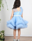 Ice Blue Dress with Tulles Asnd Pearl Belt