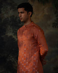 Gulmohar
