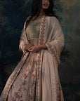PARVAAZ