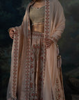 PARVAAZ
