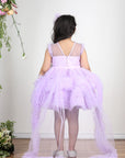 Lilac Pearl Embroidered Yoke with Net Tulles In Flare and Detachable Tail