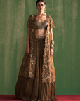 Devika Brown Lehenga Set