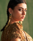 Devika Brown Lehenga Set