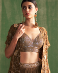 Devika Brown Lehenga Set