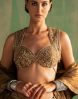 Bhumika Brown Lehenga Set