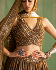 Ruchika Brown Lehenga Set