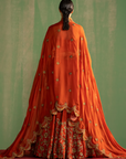 Zaina Rust Lehenga Set