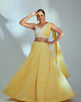 KALAKARI Designer Lehenga Ensemble