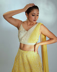 KALAKARI Designer Lehenga Ensemble