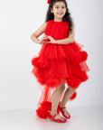 Victorian Style Dress with Net Flower Detailing