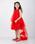 Victorian Style Dress with Net Flower Detailing