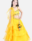 Orgenza Lehnga with Silk Blend Lineing,Prgenza Chunni with Ruffles,Choli with Hand Embroidry.