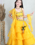 Orgenza Lehnga with Silk Blend Lineing,Prgenza Chunni with Ruffles,Choli with Hand Embroidry.