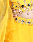 Orgenza Lehnga with Silk Blend Lineing,Prgenza Chunni with Ruffles,Choli with Hand Embroidry.